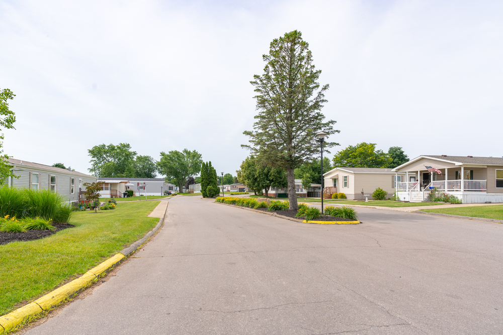 Community Image