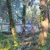 Mobile Home for Sale: 3 Bed 2 Bath 1992 Mobile Home