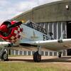 Aircraft for Sale: North American T-6 Harvard III