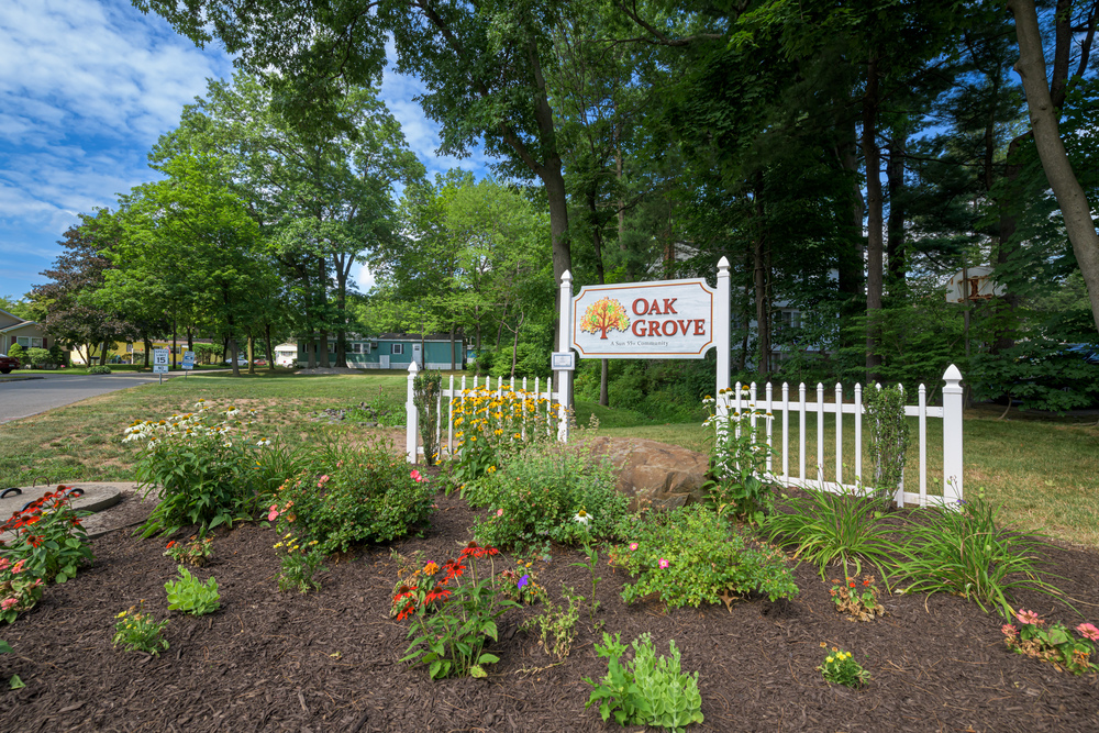 Community Image