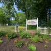 Community Image