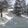 Mobile Home for Sale: 2 Bed 1 Bath 1984 Mobile Home