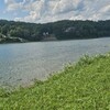 RV Lot for Sale: Lots 94 and 95 Paradise Landing, 0.75 acre, Clifton, TN