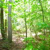 Mobile Home Lot for Sale: Land - KING GEORGE, VA, King George, VA