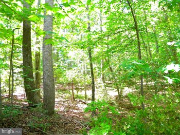 Photo of Mobile Home Lot