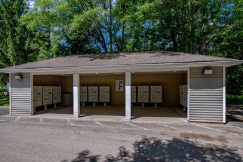 Community Image