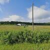 Mobile Home for Sale: 3 Bed 2 Bath 1992 Mobile Home