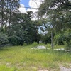 Mobile Home Lot for Sale: Mobile Home Lot Recently Vacated, Prior Utilities in Place, Sumter, SC