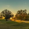Community Image
