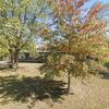 Mobile Home for Sale: 3 Bed 2 Bath 1991 Mobile Home