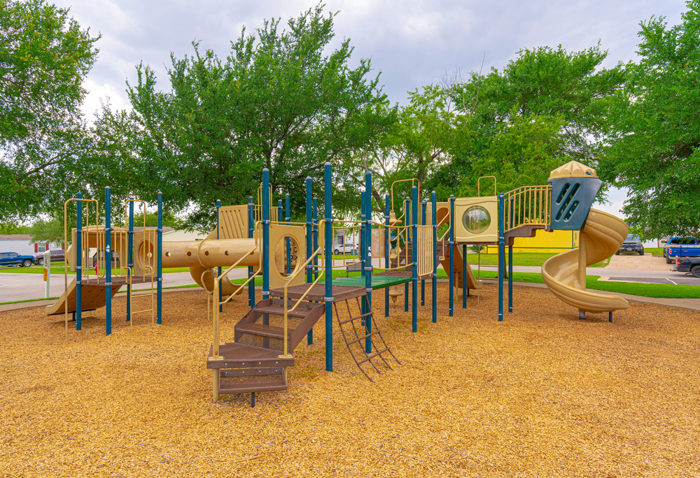 Community Image