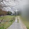 Mobile Home for Sale: 3 Bed 2 Bath 1996 Mobile Home