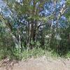 Mobile Home for Sale: 4 Bed 3 Bath 1910 Mobile Home