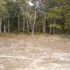 Mobile Home Lot for Sale: Manufactured Lot - North Myrtle Beach, SC, North Myrtle Beach, SC