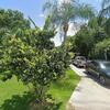 Mobile Home for Sale: 2 Bed 1.5 Bath 1978 Mobile Home