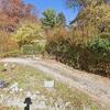Mobile Home for Sale: 4 Bed 2 Bath 1960 Mobile Home
