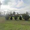 Mobile Home for Sale: 2002 Mobile Home