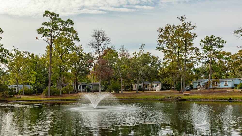 Community Image
