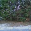 Mobile Home for Sale: 3 Bed 2 Bath 1997 Mobile Home