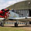 Aircraft for Sale: North American AT6 Harvard III