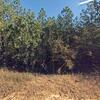Mobile Home for Sale: 3 Bed 2.5 Bath 1997 Mobile Home