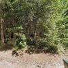 Mobile Home for Sale: 3 Bed 2 Bath 1983 Mobile Home