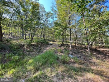 Photo of Mobile Home Lot