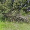 Mobile Home for Sale: Mobile Home