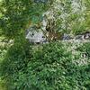 Mobile Home for Sale: 1975 Mobile Home