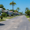 Community Image