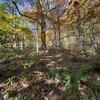 Mobile Home Lot for Sale: Land - WINCHESTER, VA, Winchester, VA