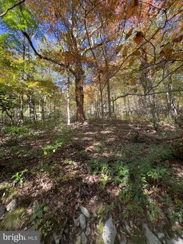 Photo of Mobile Home Lot