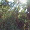 Mobile Home for Sale: 1999 Mobile Home