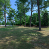 Community Image