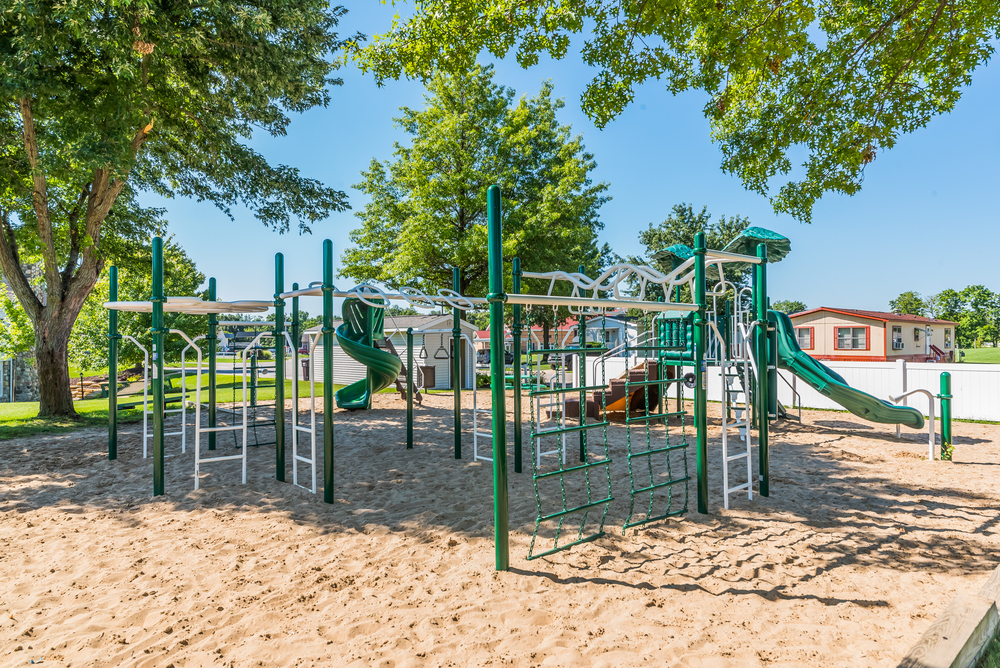 Community Image