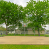 Community Image