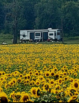 Thumbnail of RV