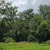 Mobile Home Lot for Sale: Manufactured Housing Lot - Greenwood, SC, Greenwood, SC