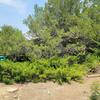 Mobile Home for Sale: 3 Bed 2 Bath 1973 Mobile Home
