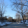 Community Image