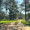 Mobile Home for Sale: 3 Bed 2 Bath 2006 Mobile Home