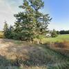 Mobile Home for Sale: 3 Bed 2 Bath 1992 Mobile Home