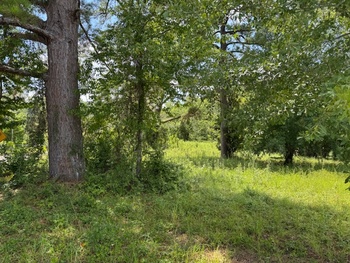 Photo of Previous Mobile Home Space, Close to Downtown!