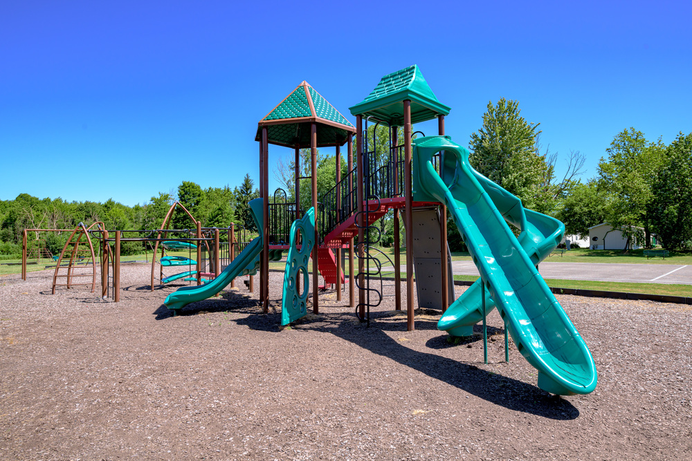 Community Image