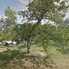 Mobile Home for Sale: 3 Bed 2 Bath 1997 Mobile Home