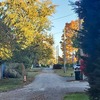 Mobile Home for Sale: 3 Bed 2 Bath 1994 Mobile Home