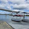 Aircraft for Sale: Cessna 182Q