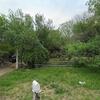 Mobile Home for Sale: 1998 Mobile Home