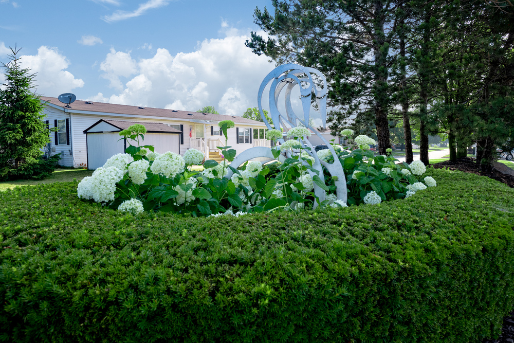 Community Image