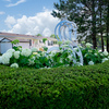Community Image